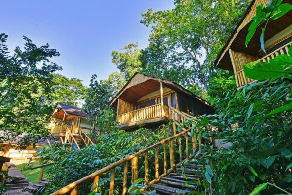 Accommodation In Bwindi National Park