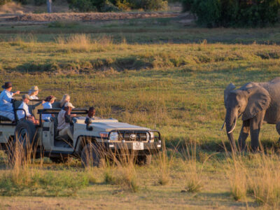 Affordable Kruger Safaris