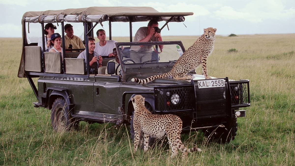 Affordable Masai Mara Safari Deals: Budget Tours & Packages