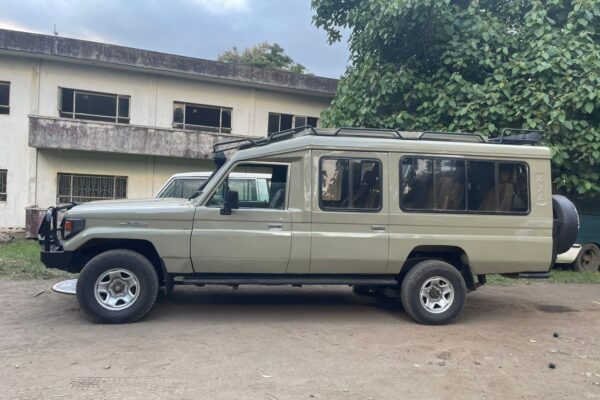 Africa Safari Vehicle Africa Safari Vehicle