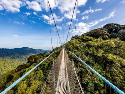 Akagera vs Nyungwe vs Volcanoes