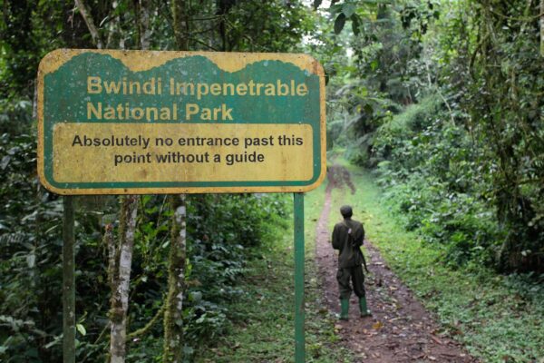 Buhoma Sector Bwindi