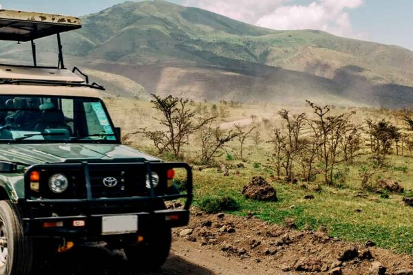 Car Rental Safaris To Rwanda