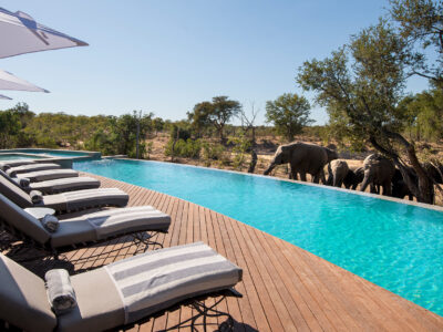Kruger Safaris
