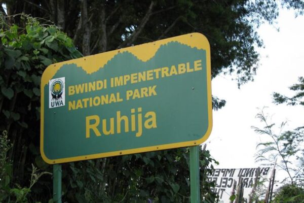 Ruhija Sector