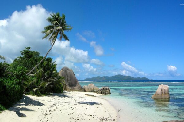 Tanzania and Seychelles
