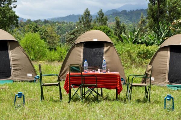 Uganda Camping Tours