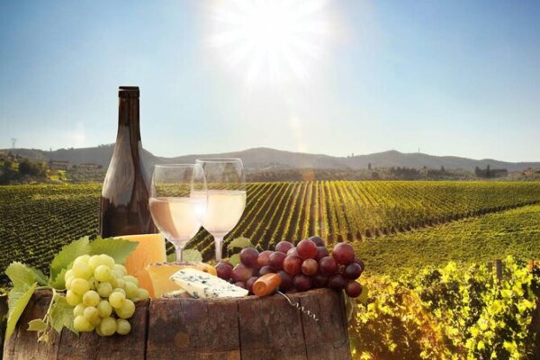 Winelands Grand Luxury Tour Winelands Grand Luxury Tour