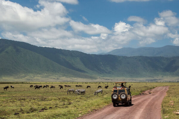 Arusha to Ngorongoro