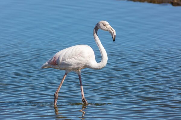 Arusha to Ngorongoro Tour