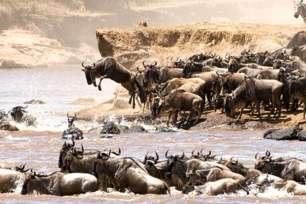 Luxury Masai Mara Flying Safari Tour