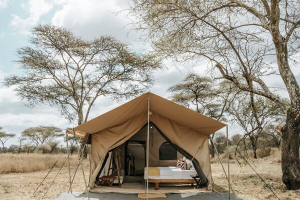 3-Day Serengeti Budget Safari