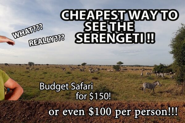 3-Day Serengeti Budget Safari Tour