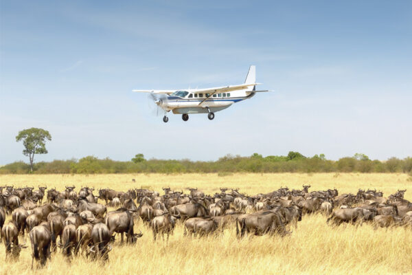 4-Day Serengeti Fly-In Safari Africa