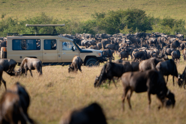 7-Day Great Migration