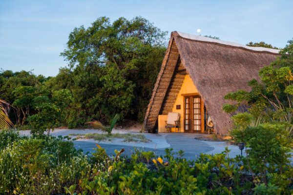 Rwanda Safari and Mozambique
