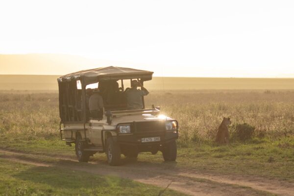 Serengeti Safari Africa