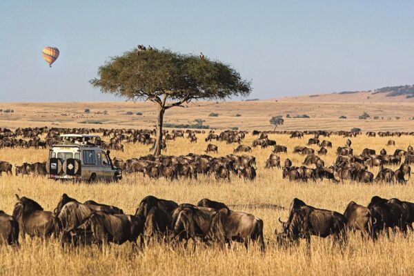 Serengeti Safari And Masai Village