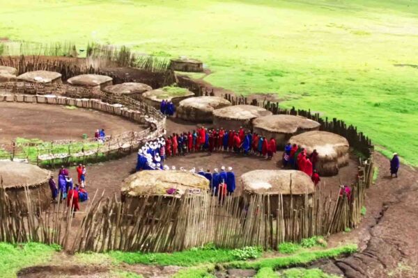 Serengeti Safari And Masai Village Visit