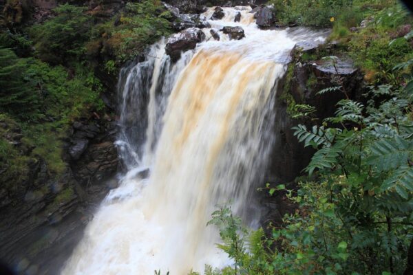 Zimbabwe and Rwanda Safari Tour