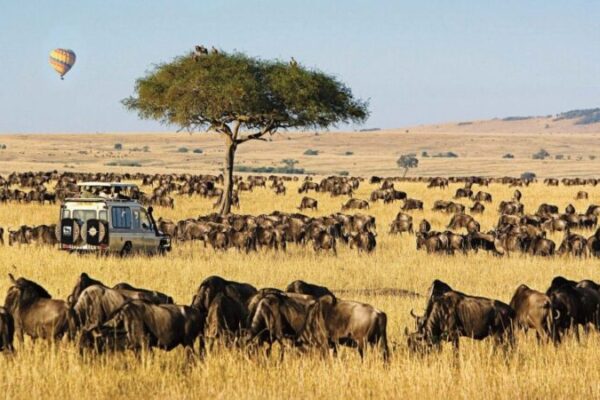 9 Days Kenya Safari