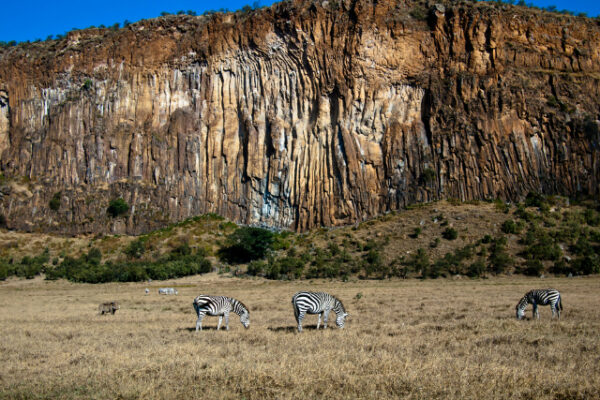 9 Days Kenya Safari Tours