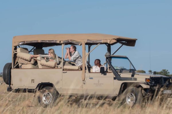 Game Drives In Serengeti