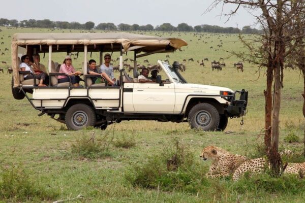 Game Drives In Serengeti Tanzania