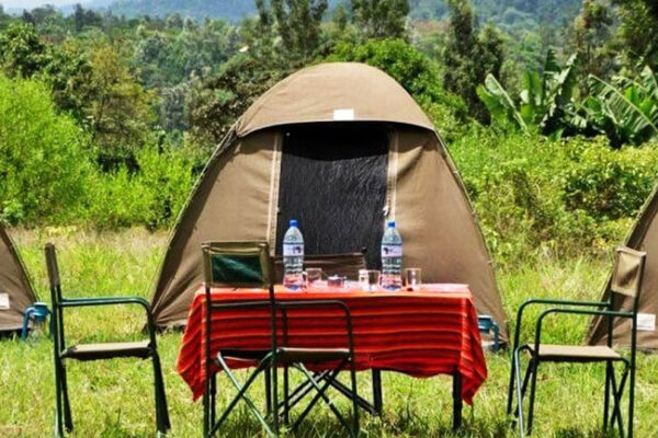 Serengeti And Ngorongoro Safari Serengeti And Ngorongoro