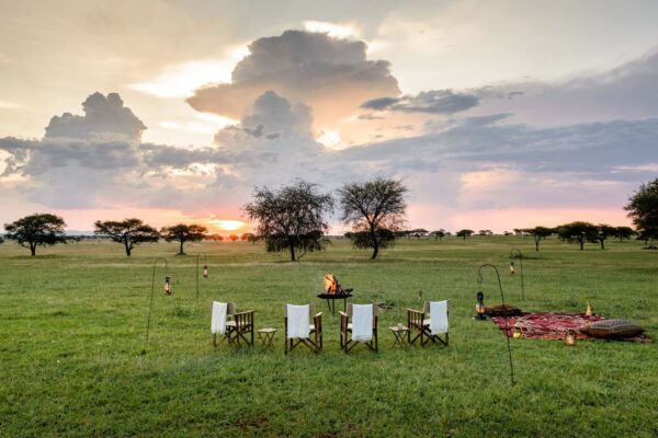 Serengeti Safari From Arusha Serengeti Safari From Arusha