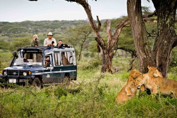 Tanzania Group Tours Tanzania Group Tours