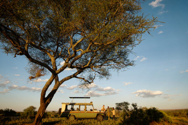 Gorilla Trekking and Serengeti