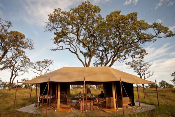 Luxury Tanzania Northern Circuit Safari