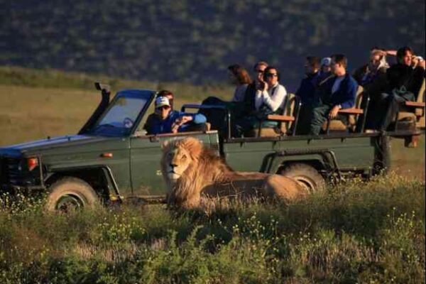 South Africa Big Five Family Safari