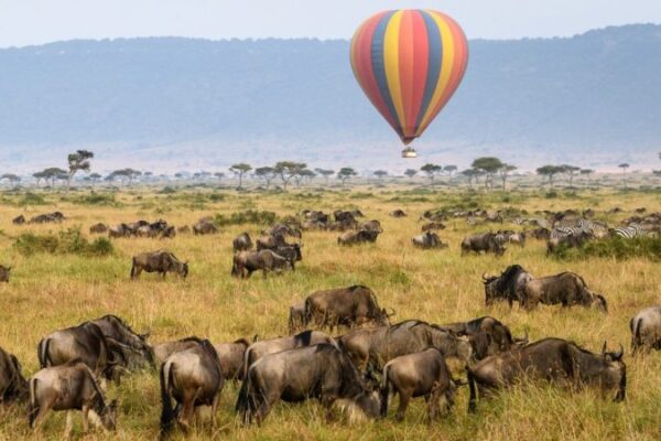 3-Day Kenya Hot Balloon Safari