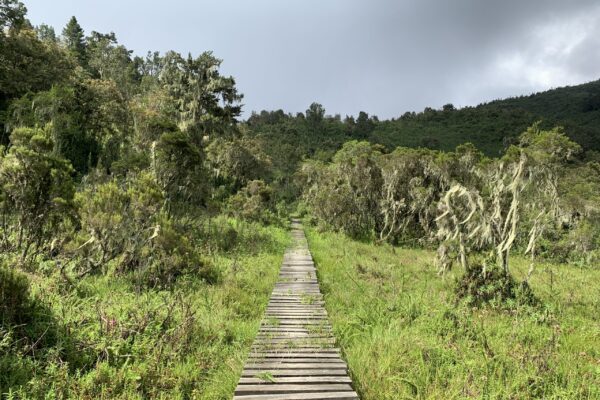 3 Day Mahoma Trail Trek