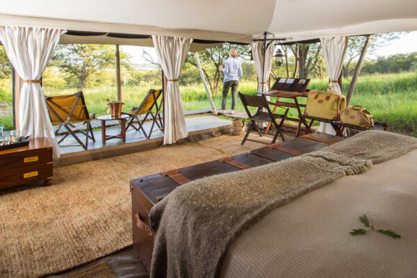 7-Day Luxury Tanzania Wildlife Tour 7-Day Luxury Tanzania Wildlife Tour