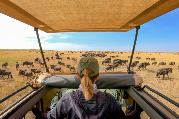 7-Day Wildebeest Experience 7-Day Wildebeest Experience