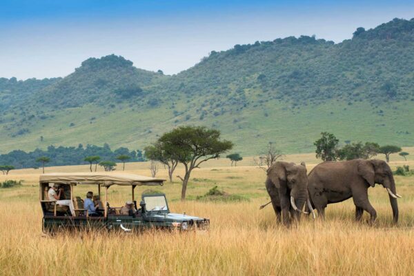 Kenya Local Tours