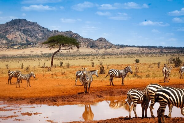 Kenya Tours