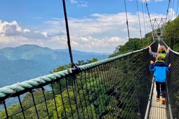 Nyungwe Forest Safari