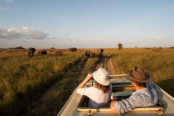 Tanzania Tours Tanzania Tours