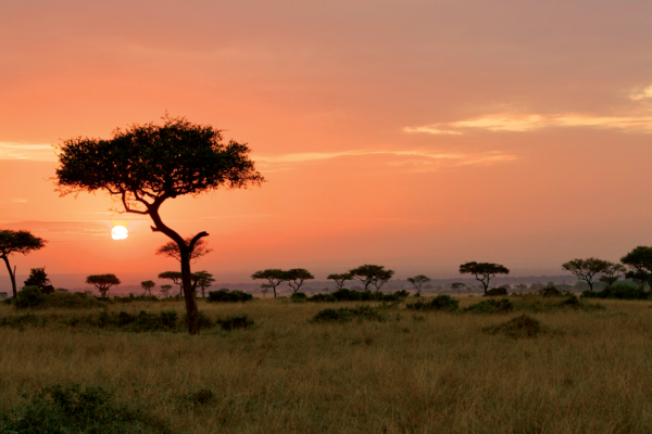Tanzania Tours Tanzania Tours