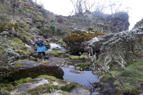 mahoma trail rwenzori