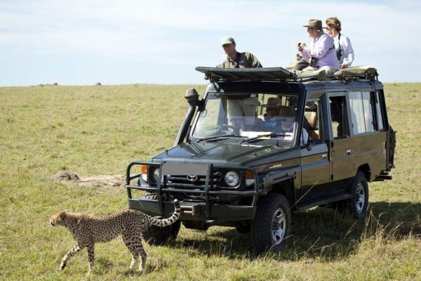 Kenya Luxury Safari Package