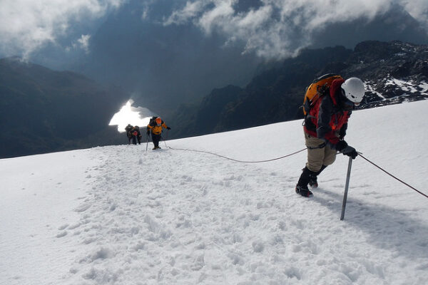Rwenzori Trekking