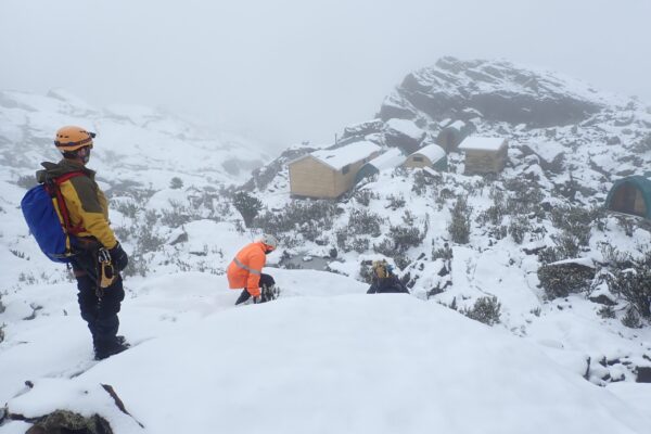 Rwenzori Trekking Safari