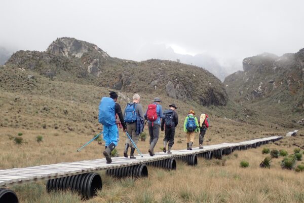 Rwenzori Trekking Safari