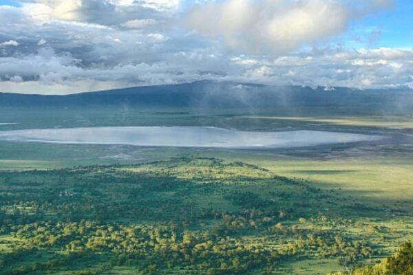 Ngorongoro