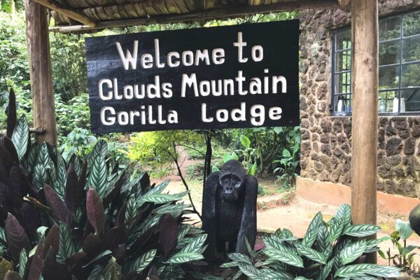 Clouds Mountain Gorilla Lodge Clouds Mountain Gorilla Lodge